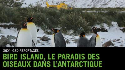 ARTE 360° Reportage
