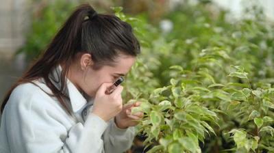 Gardening Australia