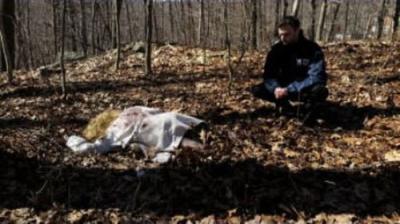 Deadline: Crime with Tamron Hall