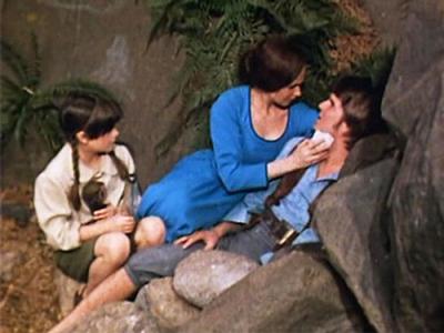 Swiss Family Robinson