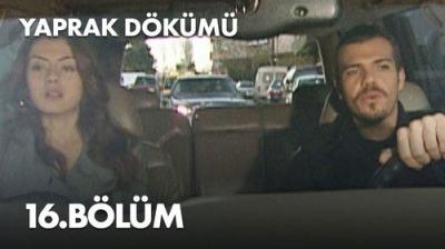Yaprak Dökümü