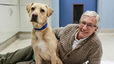 For the Love of Dogs