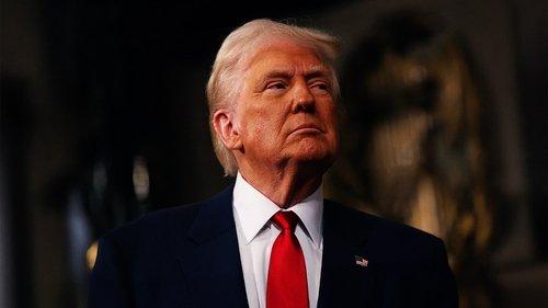 The Donald Trump Show filmas žiurėti online