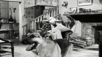 Perry Mason