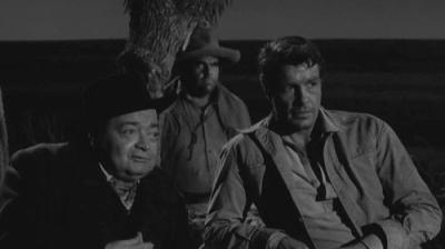 Wagon Train