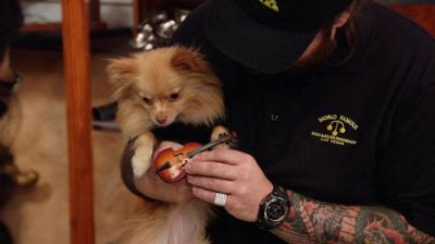 Pawn Stars