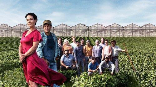 Le temps des framboises filmas žiurėti online
