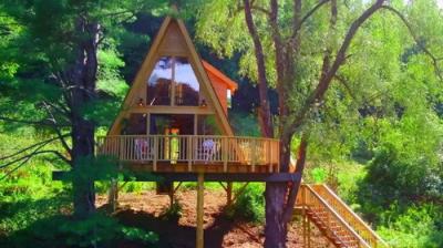 Treehouse Masters