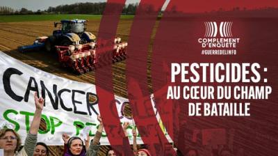 Complément d'enquête