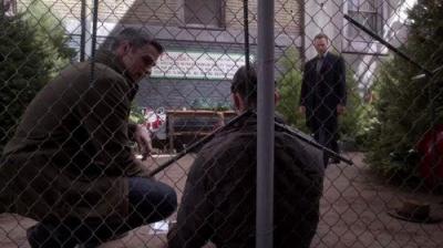 CSI: NY