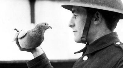 Histoires de Guerre