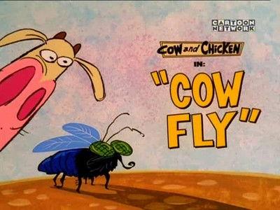 Cow and Chicken