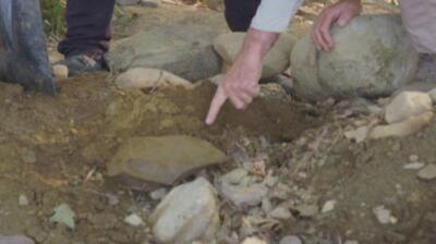 The Curse of Oak Island