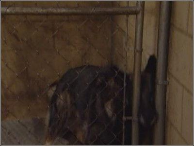 Vedęs ir turi vaikų