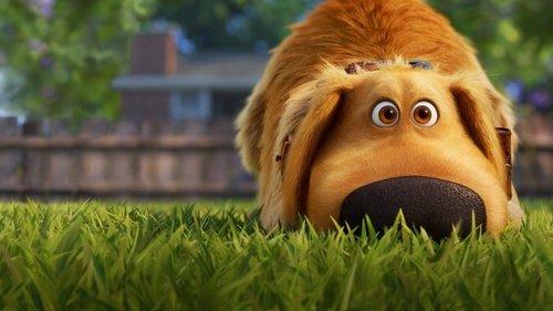 Dago dienos filmas žiurėti online