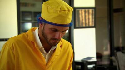 The Apprentice
