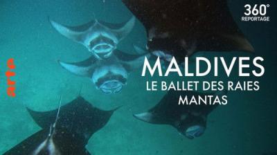 ARTE 360° Reportage