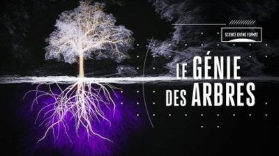 Science grand format