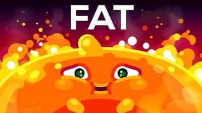 Kurzgesagt - In a Nutshell