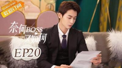 奈何BOSS又如何