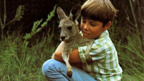 Skippy the Bush Kangaroo filmas žiurėti online