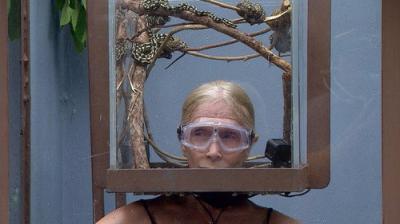 I'm a Celebrity...Get Me Out of Here!