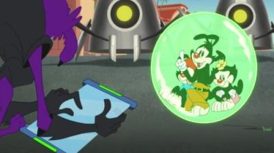 Animaniacs