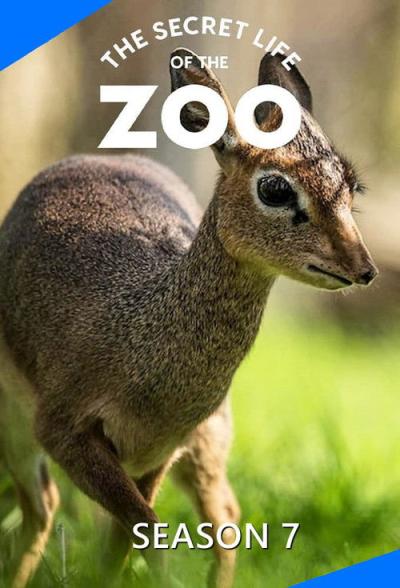 The Secret Life of the Zoo filmas online