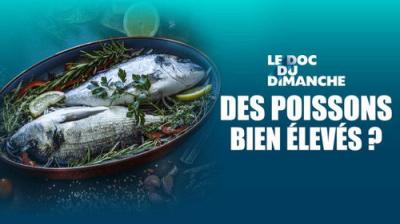 Le Doc du dimanche