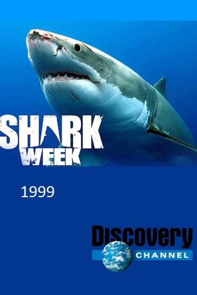 Shark Week filmas online