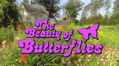 Marty Stouffer's Wild America
