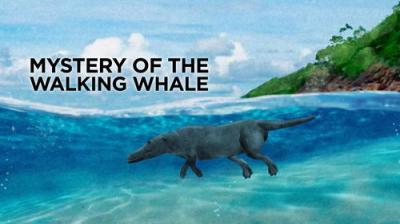 The Nature of Things