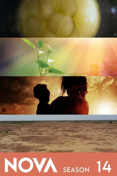 NOVA filmas online