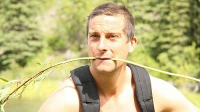 Man vs. Wild