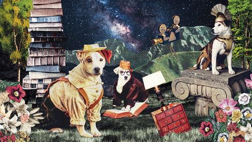 Wishbone filmas žiurėti online