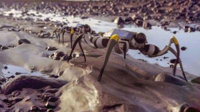 Search for Second Earth