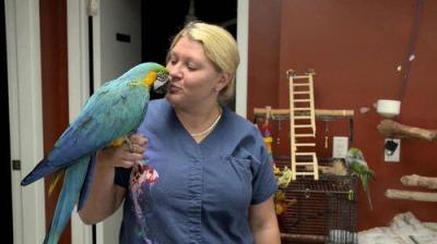 Dr. K's Exotic Animal ER