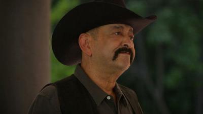 Carl Weber's The Family Business