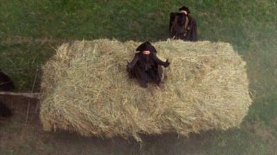 The Scarlet Pimpernel