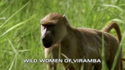 Natural World