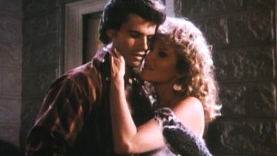 Falcon Crest