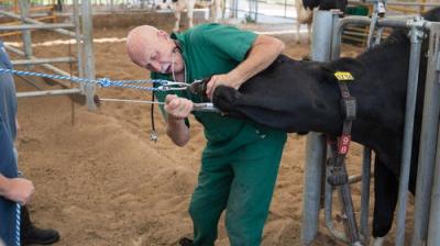 The Incredible Dr. Pol