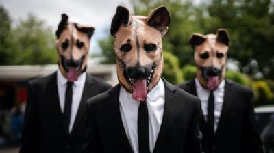 The Brokenwood Mysteries