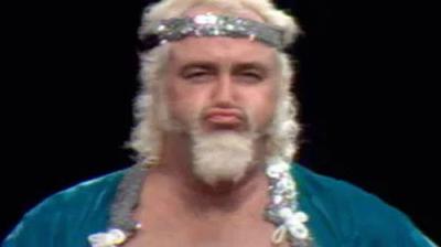 WWF All-Star Wrestling