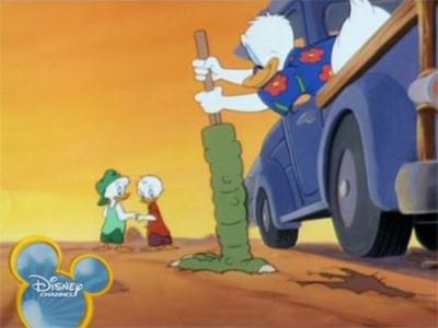 Quack Pack