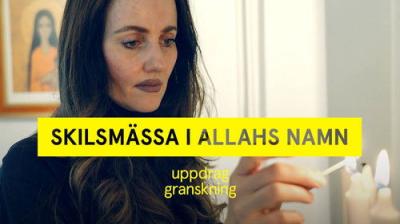 Uppdrag granskning