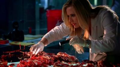 CSI Majamis