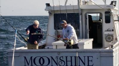 Wicked Tuna
