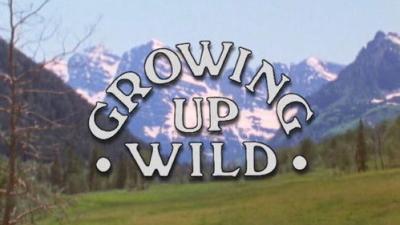 Marty Stouffer's Wild America