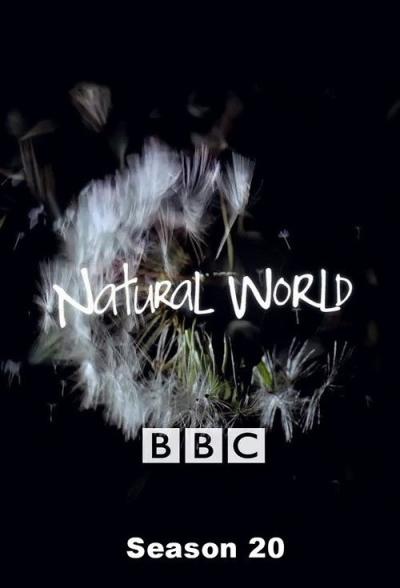 Natural World filmas online